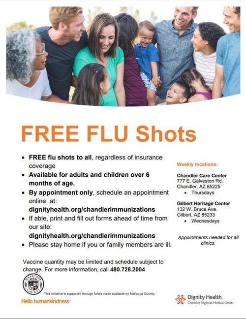 English flu shot clinic flyer 